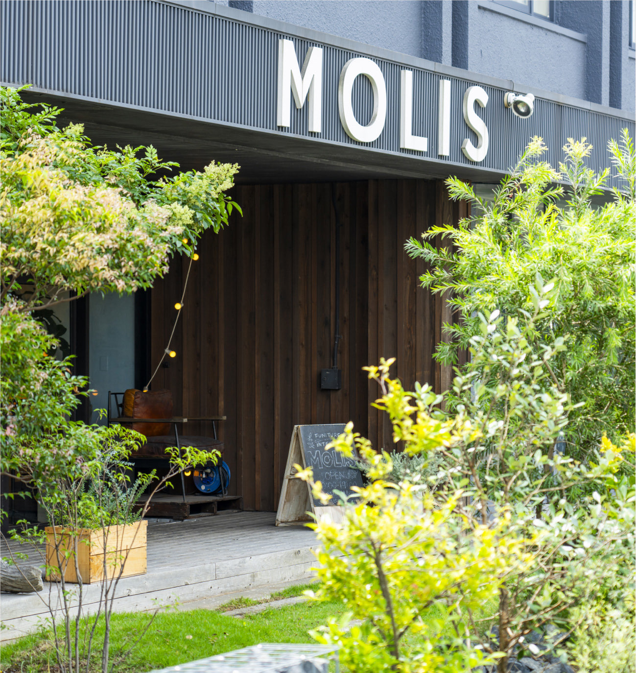 MOLISインテリアショップ イメージ